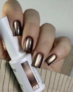 brownie 08 2