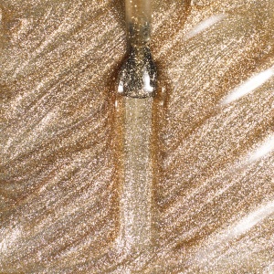 cat-eye-2srthgs cat-eye-2srthgs