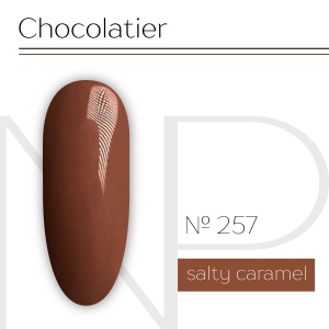 NP Nartist Гель-лак №0257 10 мл.