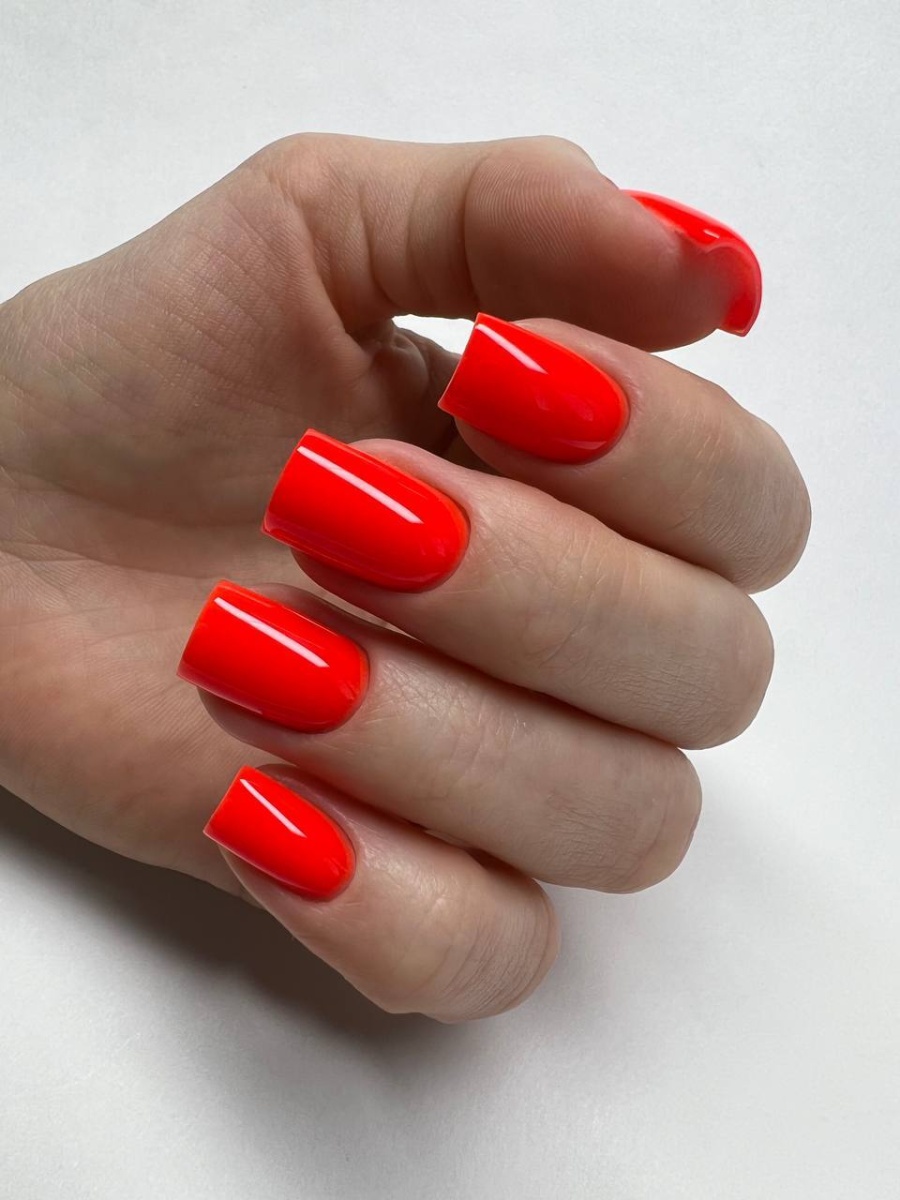 BSG Confiture gel №08 13g