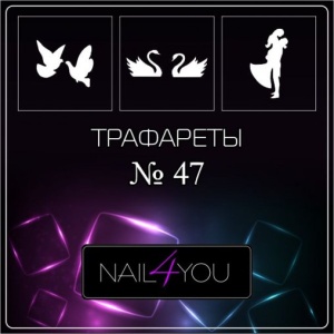 photo_2025-11-19_15-34-06