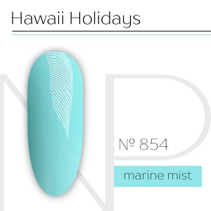 NP Nartist Гель-лак №0854 10 мл.