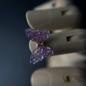 Дизвйн-бабочка-aurora-05-1