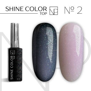 Nartist-Top-Shine-Color-№02