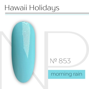 NP Nartist Гель-лак №0853 10 мл.