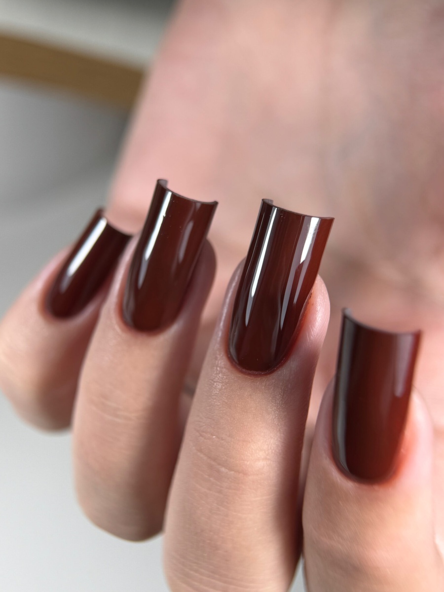 brown 05 3