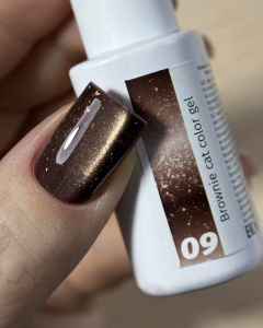 brownie 09 3