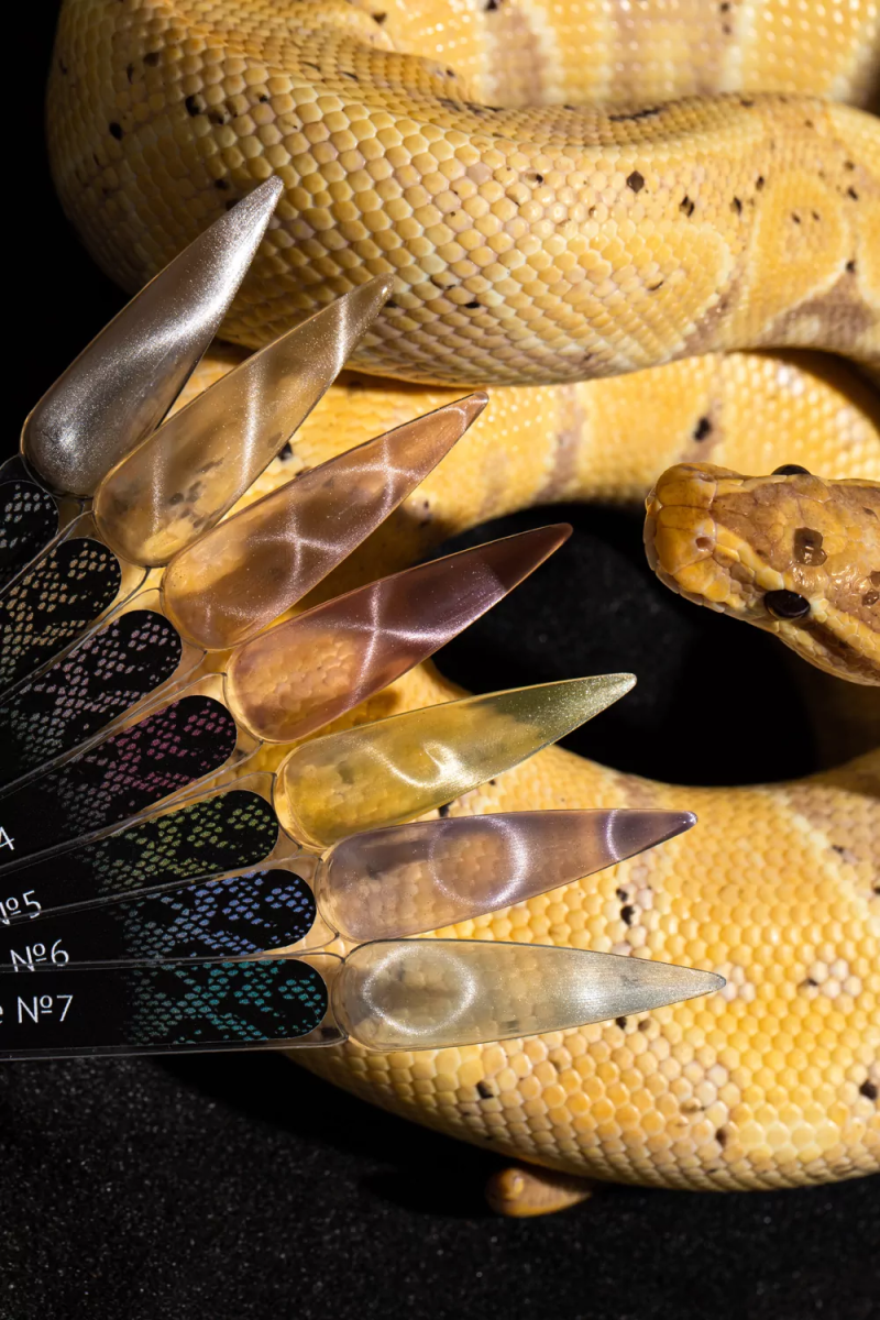 Monami Гель-лак Snake Eye SE1 8ml,1 Monami Гель-лак Snake Eye SE1 8ml,1