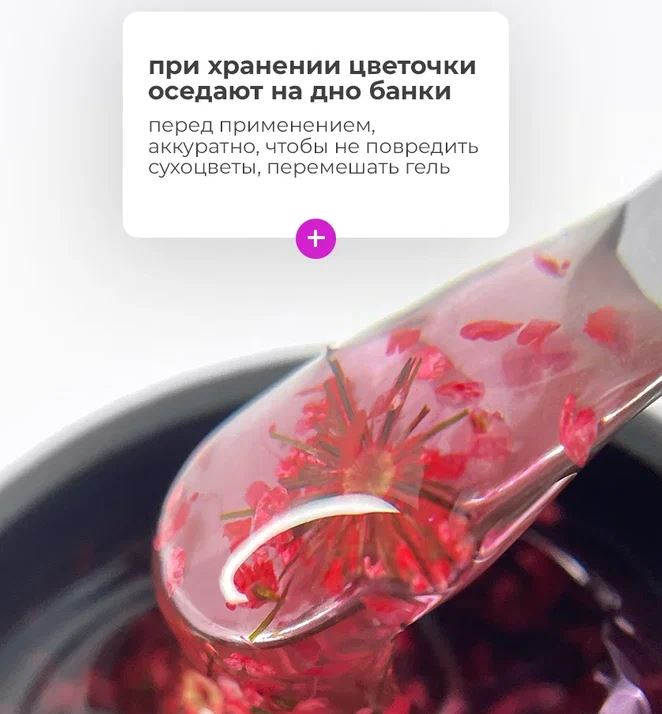 Снимок