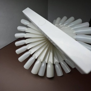 веер корс бел