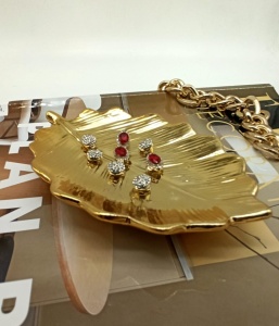 golden-kalanchoe golden-kalanchoe