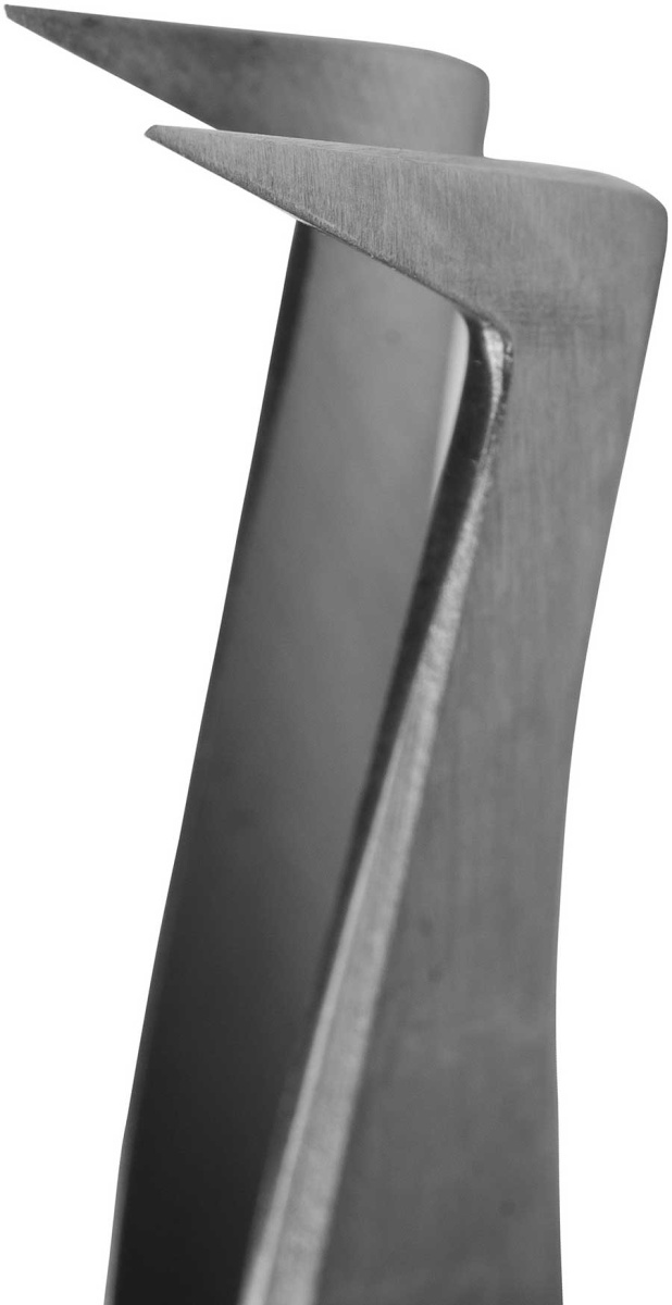 TL-01 TL-01