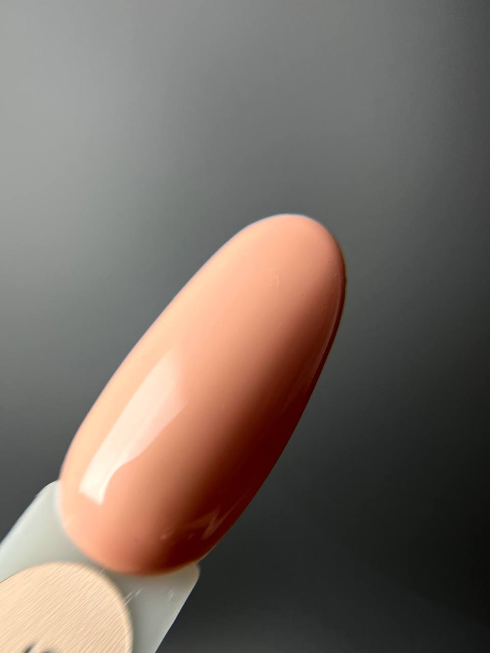 IVA-NAILS-colibri-CO-6
