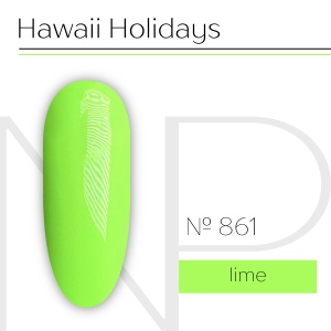 NP Nartist Гель-лак №0861 10 мл.