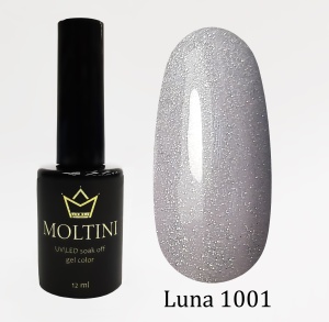 L1001-2