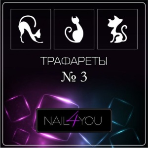 photo_2025-11-19_15-29-16