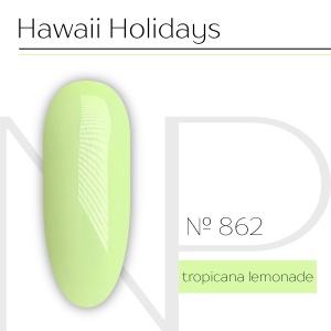 NP Nartist Гель-лак №0862 10 мл.