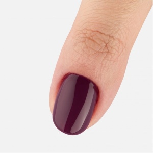 Black-Beauty-BB-05