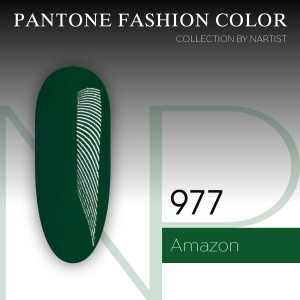nartist-977-amazon-10ml