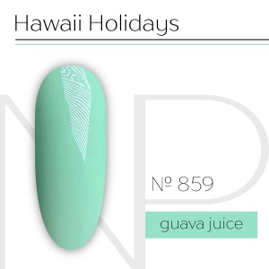 NP Nartist Гель-лак №0859 10 мл.