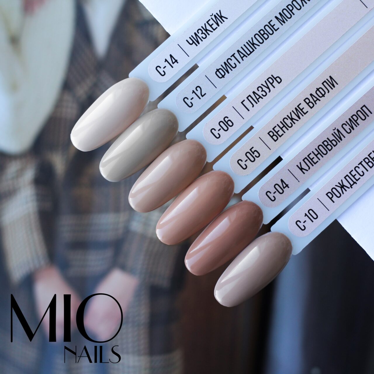 C-12_Photo02