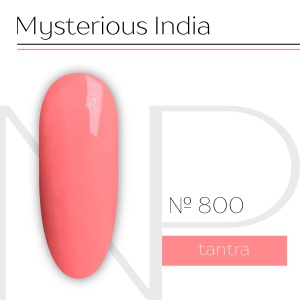 NP Nartist Гель-лак №0800 10 мл.