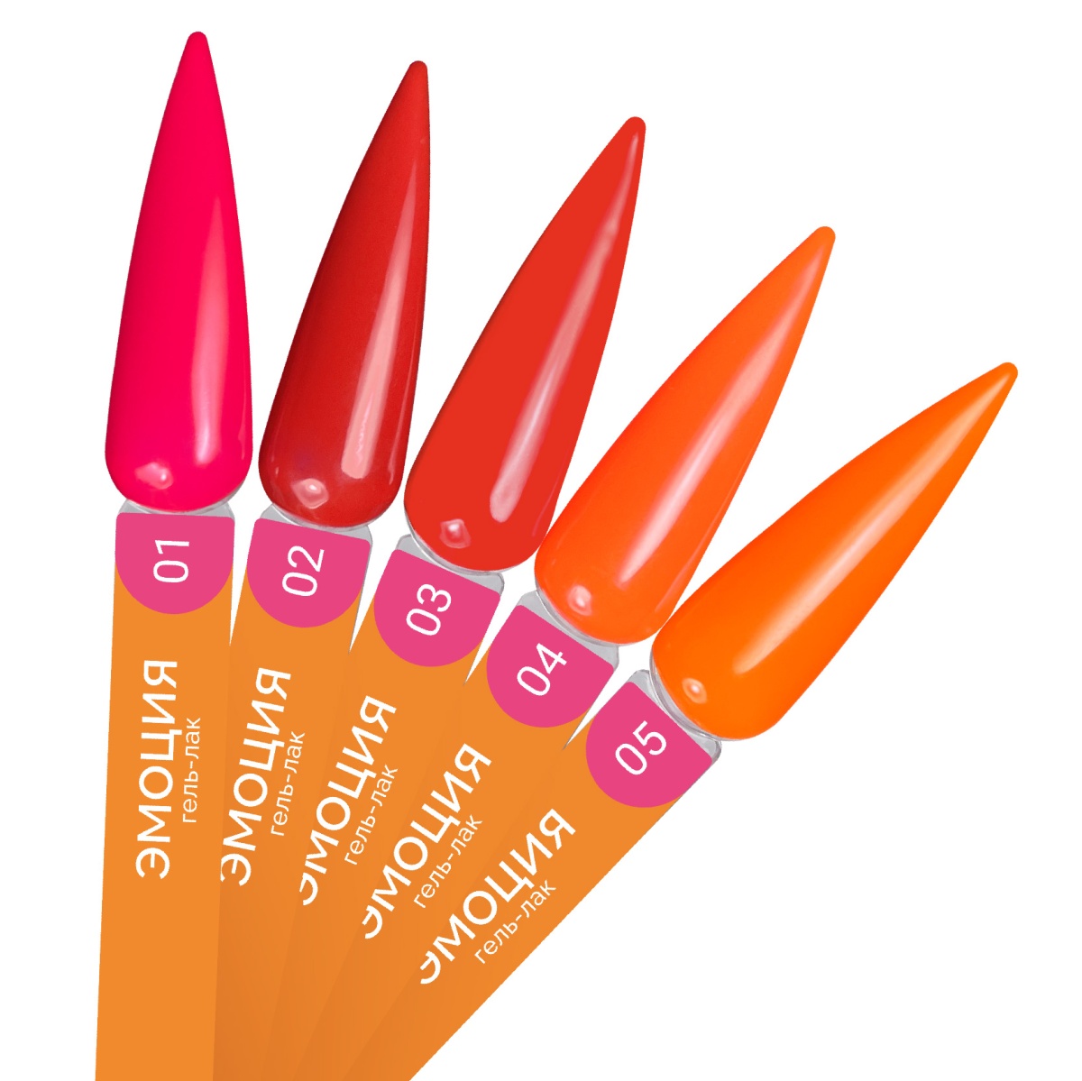 gjnt6zomz9jgbbe6pk1zhcvm7s96iasq