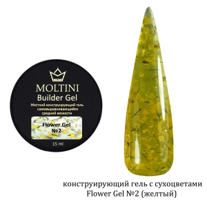 MOLTINI Builder Gel Flower №02