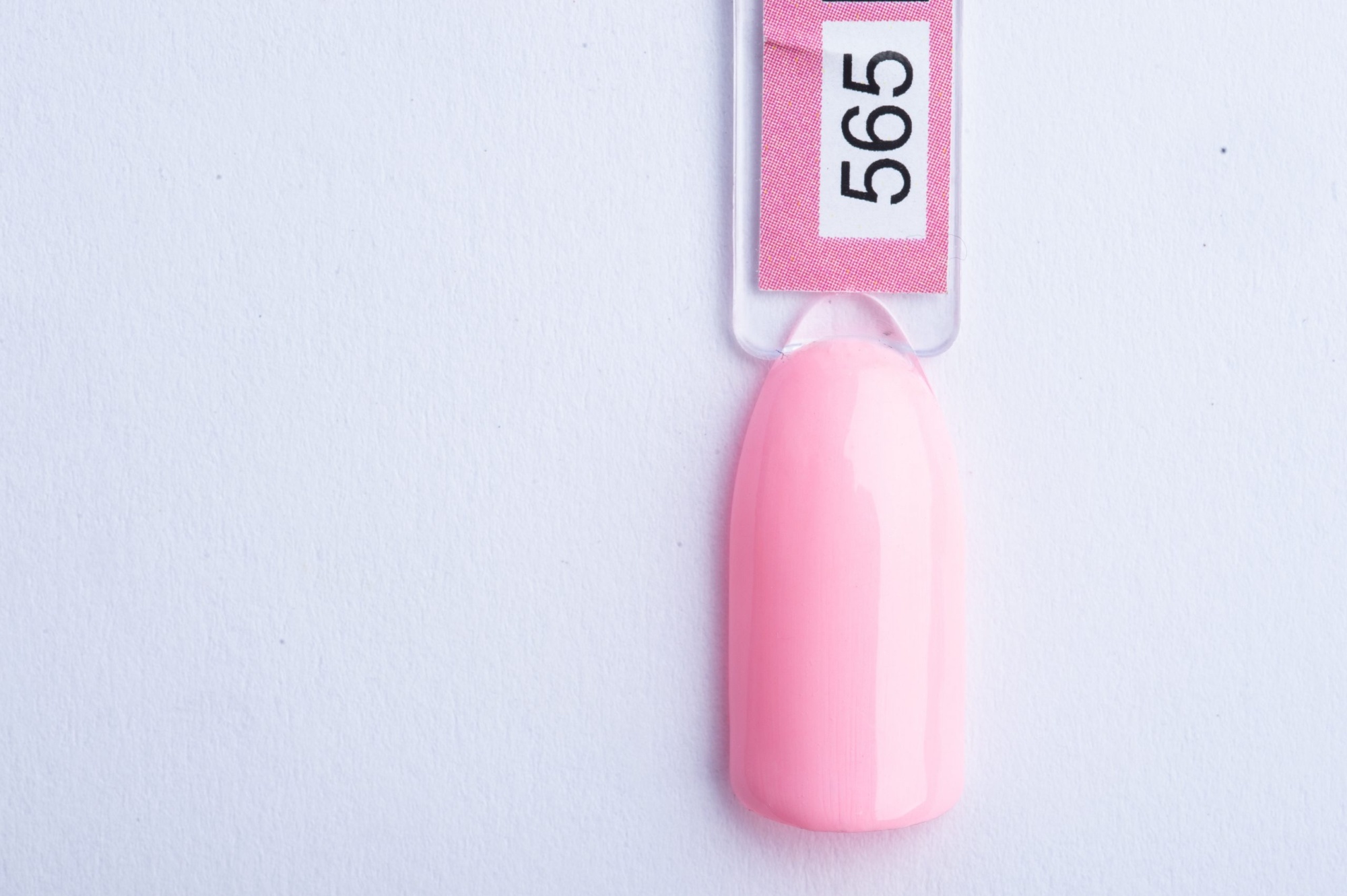 565-scaled-1