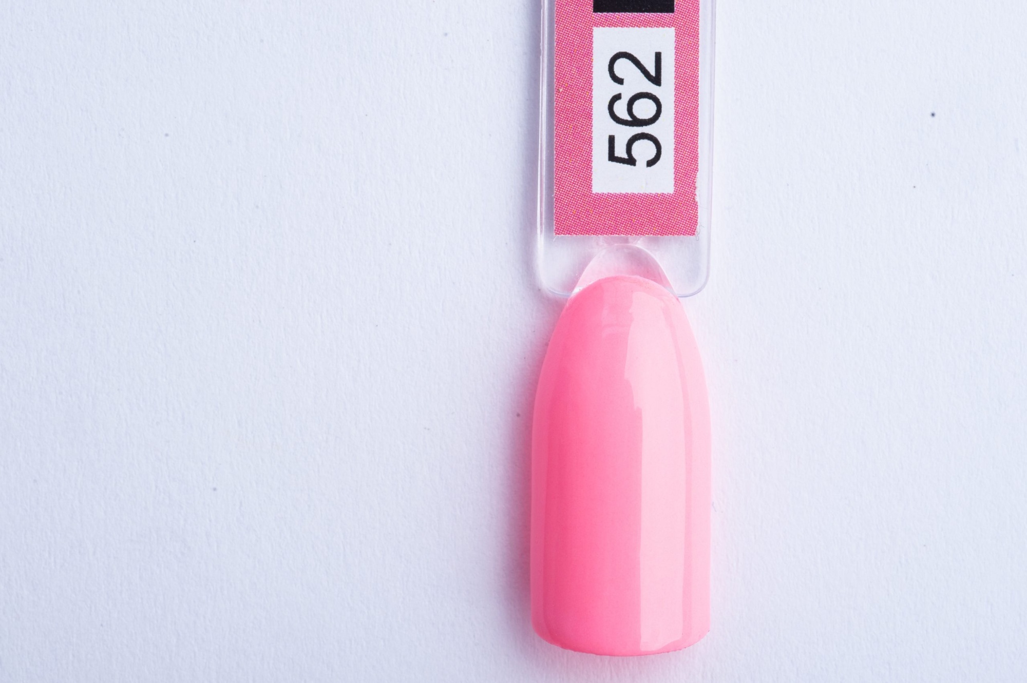 562-scaled-1