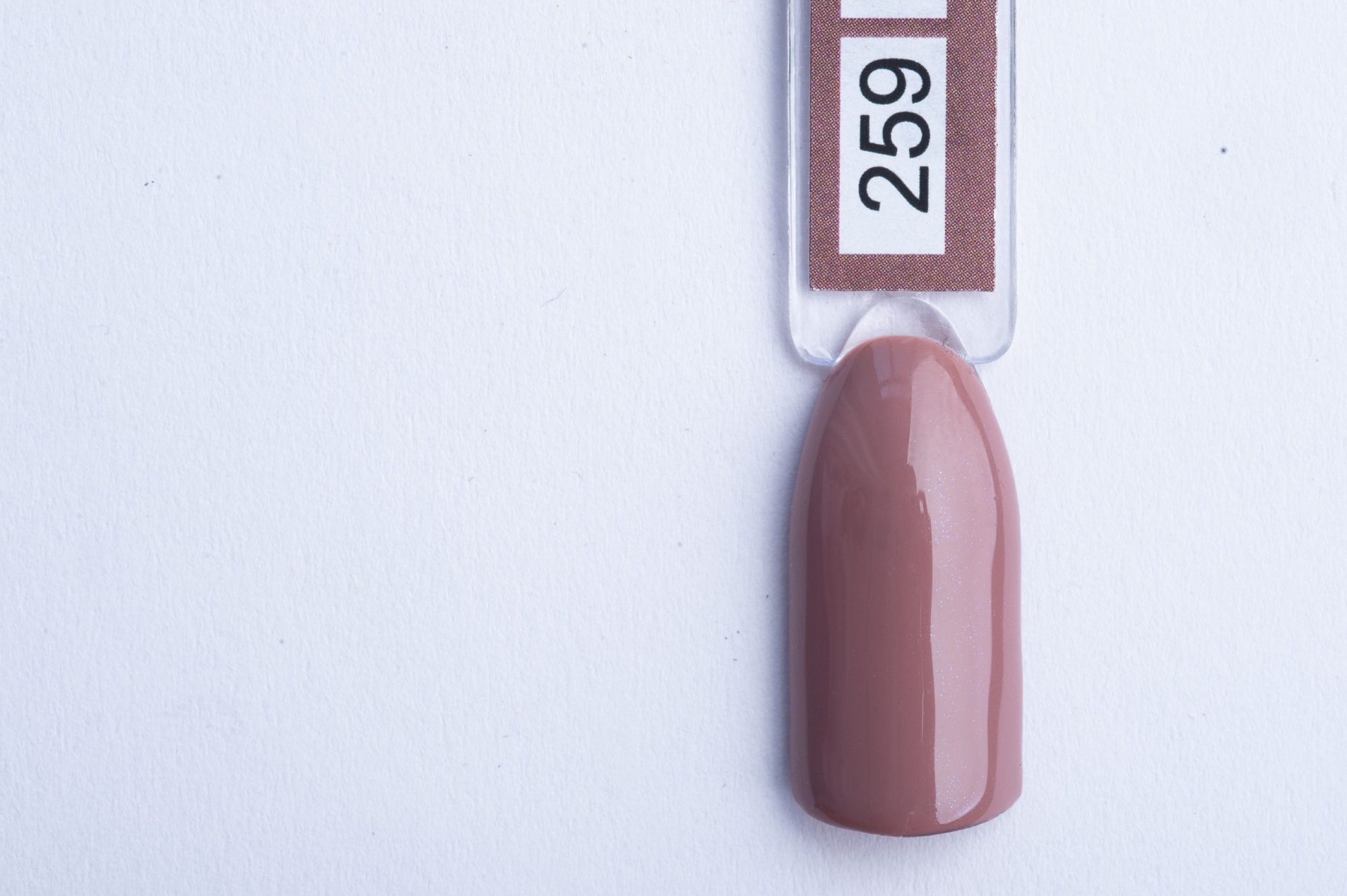 259-scaled-1